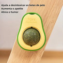 Abacate De Brinquedo Para Gatos Com Catnip Erva Gato Natural Bola de Lamber Limpeza dos Dentes Lanche